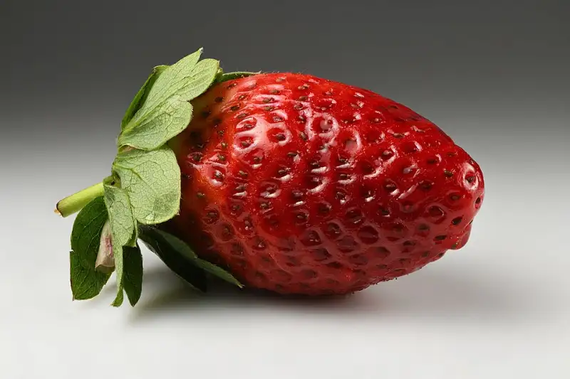 Aardbei (Fragaria × ananassa)